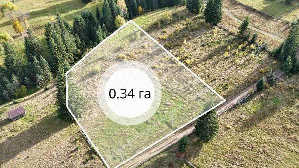  - фото нерухомості